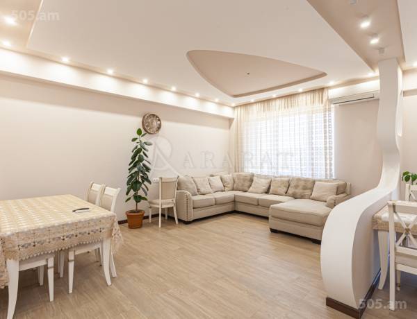 3-senyakanoc-bnakaran-vardzakalutyun-Yerevan-Davtashen