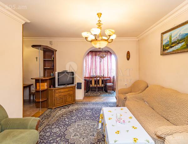 3-senyakanoc-bnakaran-vardzakalutyun-Yerevan-Center