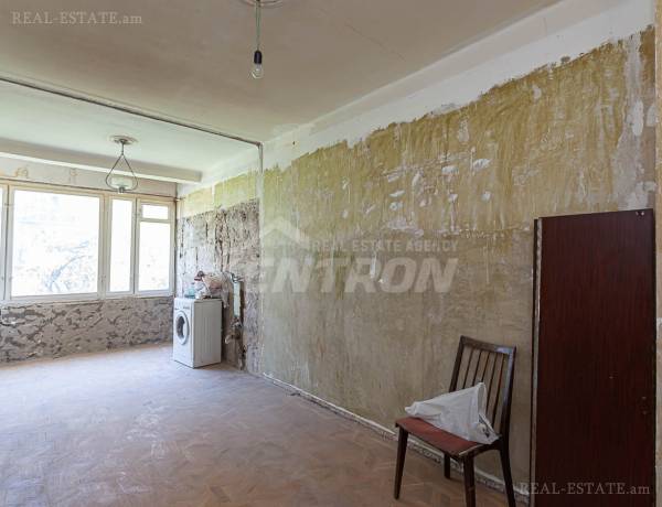 2-senyakanoc-bnakaran-vacharq-Yerevan-Center