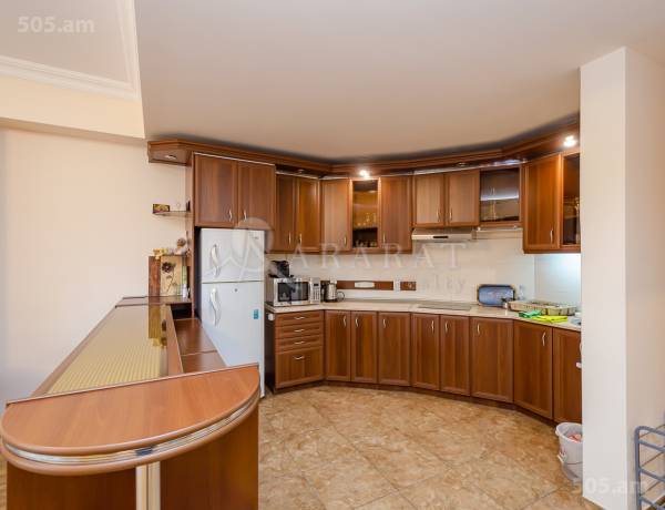 2-senyakanoc-bnakaran-vardzakalutyun-Yerevan-Center