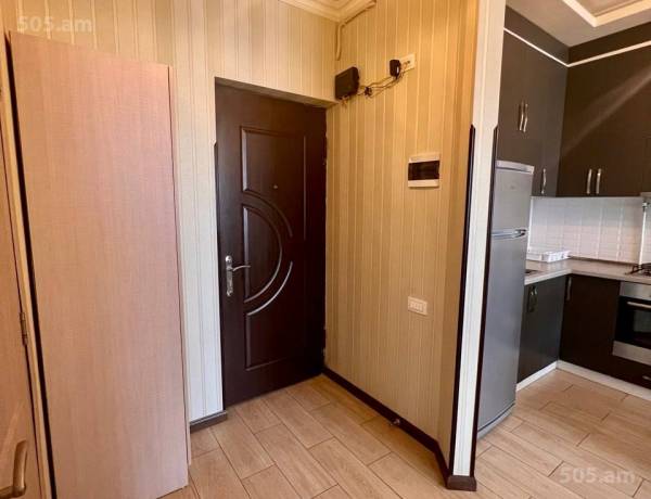 2-senyakanoc-bnakaran-vardzakalutyun-Yerevan-Achapnyak