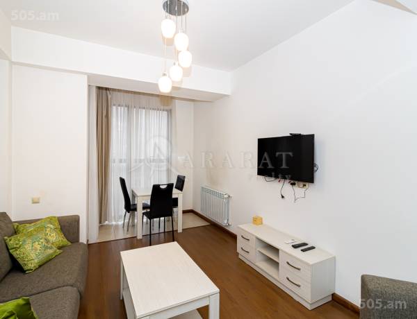 2-senyakanoc-bnakaran-vardzakalutyun-Yerevan-Center
