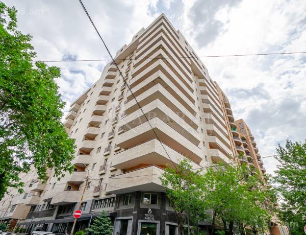 4-senyakanoc-bnakaran-vardzakalutyun-Yerevan-Center