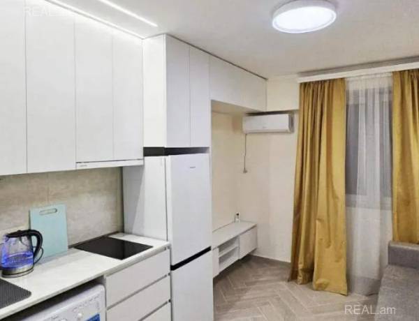 1-senyakanoc-bnakaran-vardzakalutyun-Yerevan-Arabkir