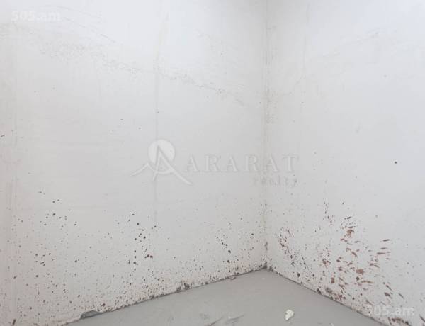 2-senyakanoc-bnakaran-vacharq-Yerevan-Arabkir