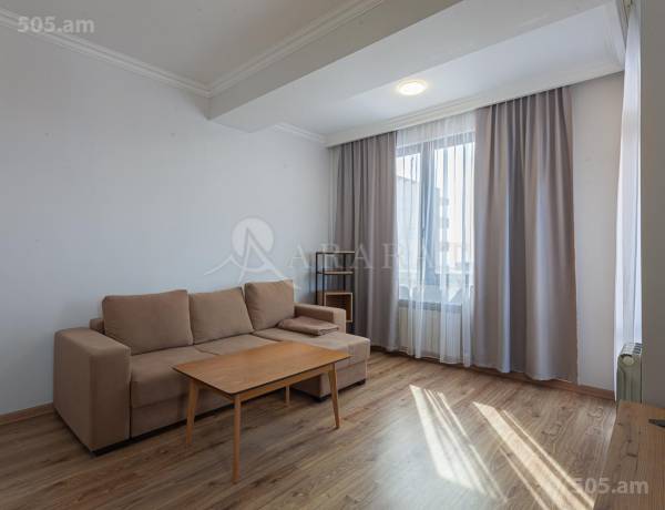 3-senyakanoc-bnakaran-vardzakalutyun-Yerevan-Arabkir