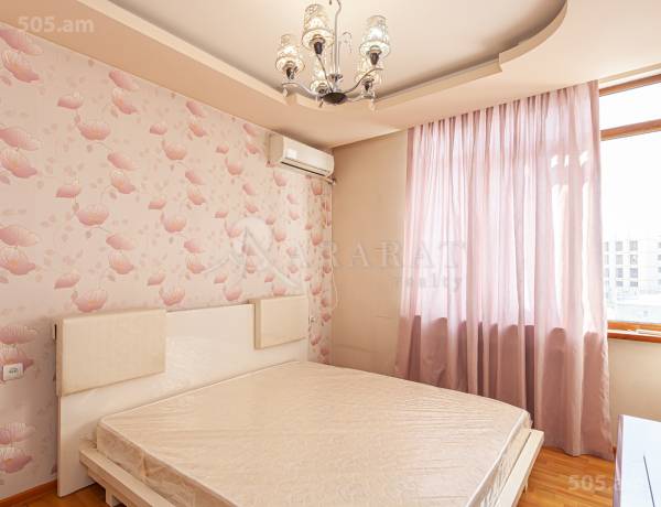3-senyakanoc-bnakaran-vardzakalutyun-Yerevan-Arabkir