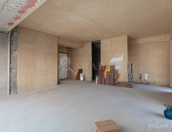3-senyakanoc-bnakaran-vacharq-Yerevan-Arabkir