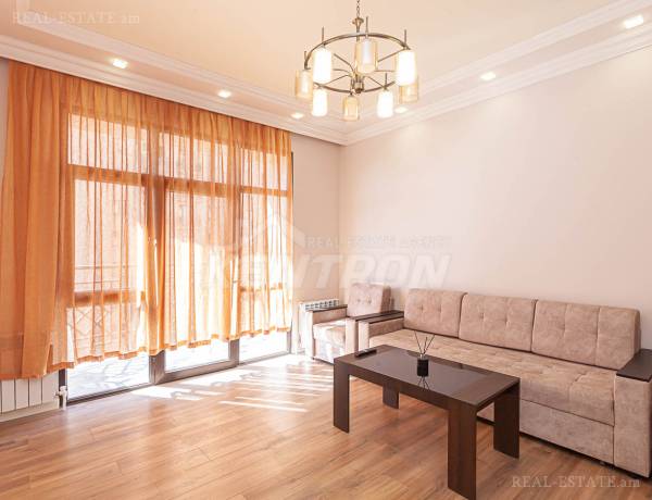2-senyakanoc-bnakaran-vardzakalutyun-Yerevan-Davtashen