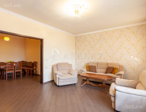 3-senyakanoc-bnakaran-vardzakalutyun-Yerevan-Center