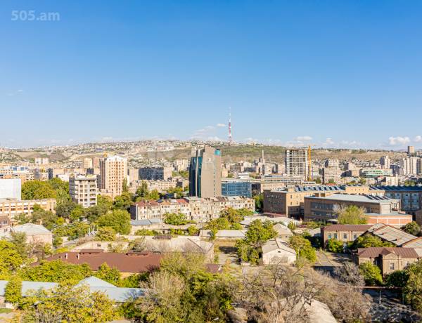 3-senyakanoc-bnakaran-vacharq-Yerevan-Center