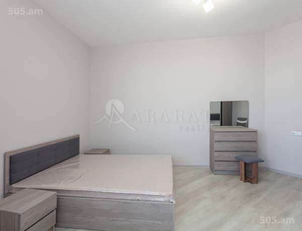 3-senyakanoc-bnakaran-vardzakalutyun-Yerevan-Arabkir