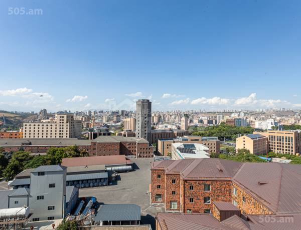 3-senyakanoc-bnakaran-vacharq-Yerevan-Center
