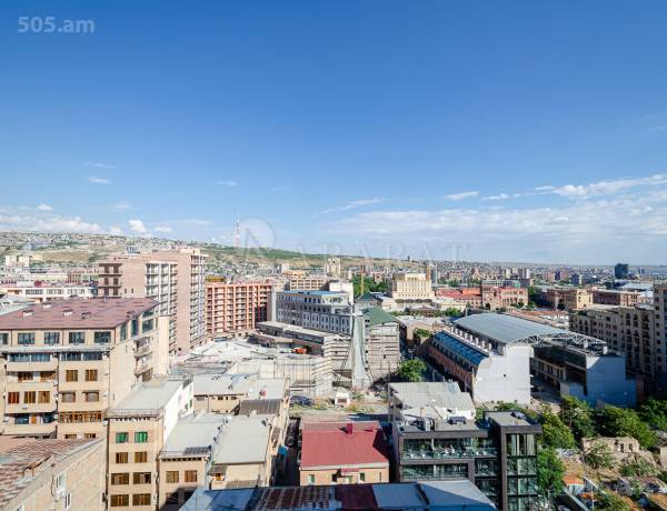 2-senyakanoc-bnakaran-vacharq-Yerevan-Center