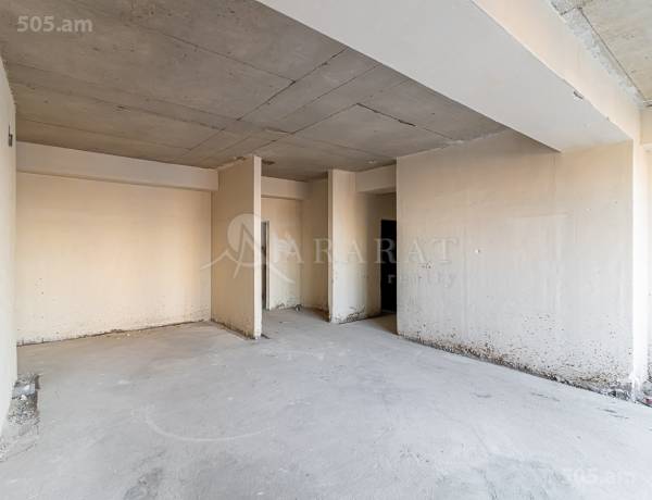 4-senyakanoc-bnakaran-vacharq-Yerevan-Arabkir