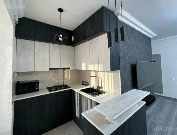 3-senyakanoc-bnakaran-vardzakalutyun-Yerevan-Achapnyak