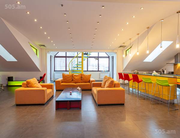 3-senyakanoc-bnakaran-vardzakalutyun-Yerevan-Center