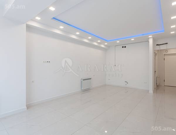 3-senyakanoc-bnakaran-vacharq-Yerevan-Center