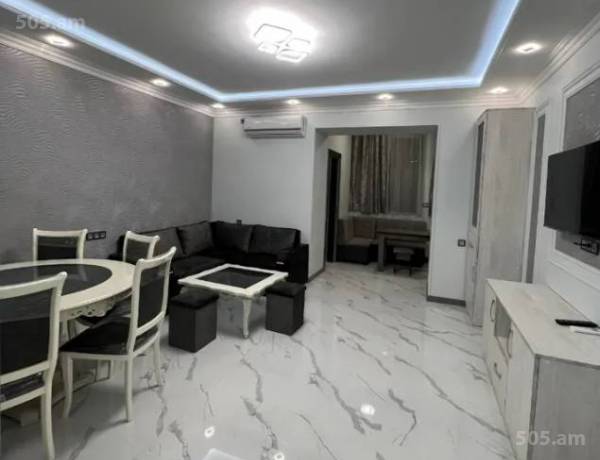 3-senyakanoc-bnakaran-vardzakalutyun-Yerevan-Arabkir