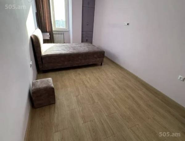2-senyakanoc-bnakaran-vardzakalutyun-Yerevan-Achapnyak