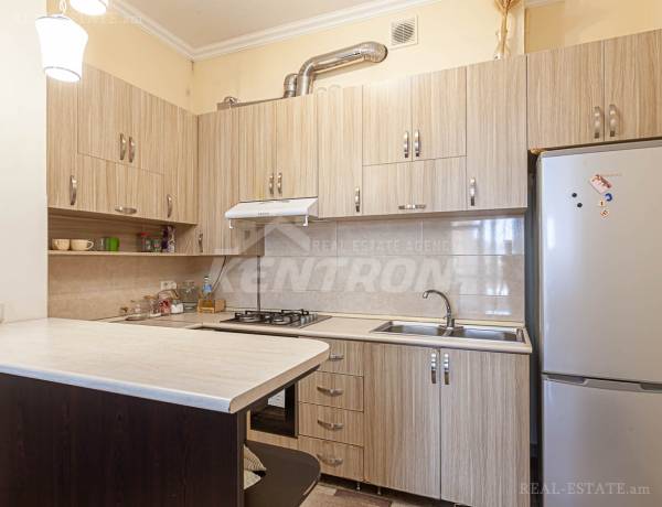 3-senyakanoc-bnakaran-vardzakalutyun-Yerevan-Center