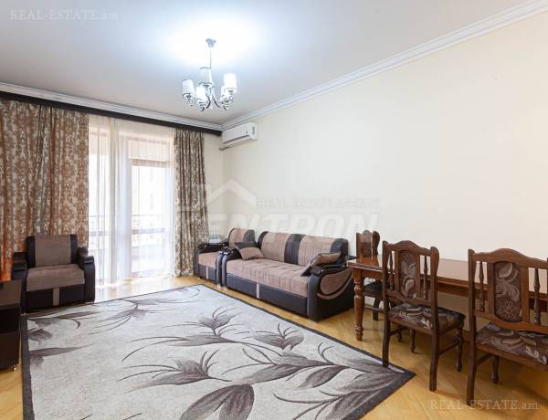 3-senyakanoc-bnakaran-vardzakalutyun-Yerevan-Center