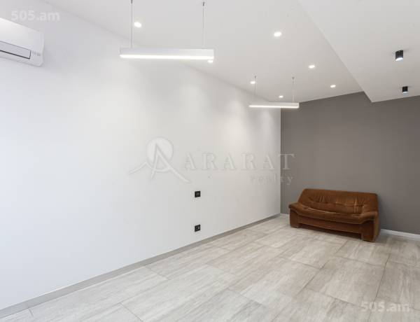 2-senyakanoc-bnakaran-vacharq-Yerevan-Center