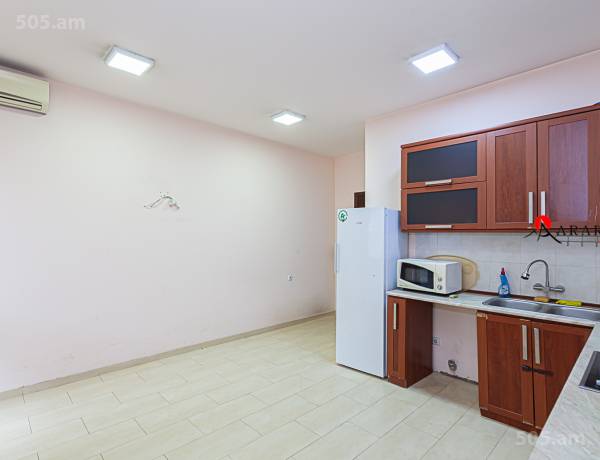 3-senyakanoc-bnakaran-vacharq-Yerevan-Center