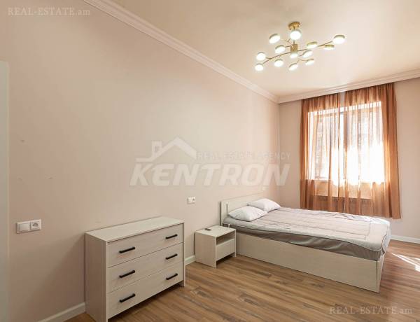 2-senyakanoc-bnakaran-vardzakalutyun-Yerevan-Davtashen