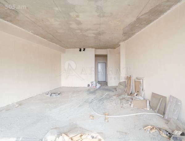 4-senyakanoc-bnakaran-vacharq-Yerevan-Arabkir