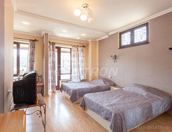 2-senyakanoc-bnakaran-vardzakalutyun-Yerevan-Center