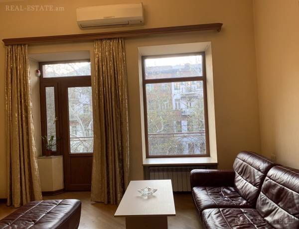 3-senyakanoc-bnakaran-vardzakalutyun-Yerevan-Center