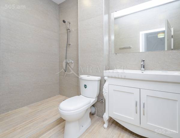 3-senyakanoc-bnakaran-vacharq-Yerevan-Arabkir