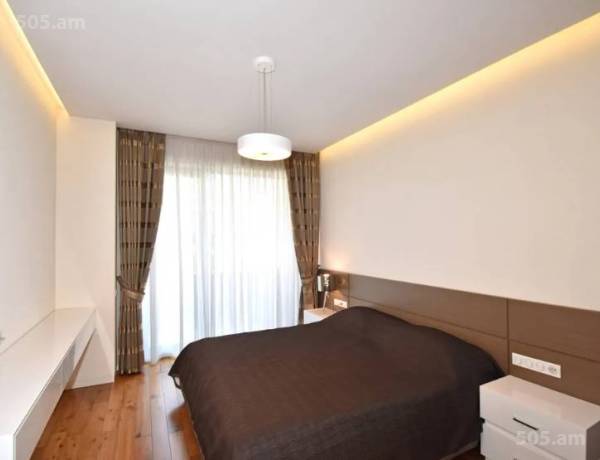 3-senyakanoc-bnakaran-vardzakalutyun-Yerevan-Center
