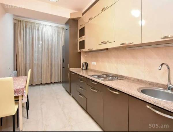 3-senyakanoc-bnakaran-vardzakalutyun-Yerevan-Arabkir