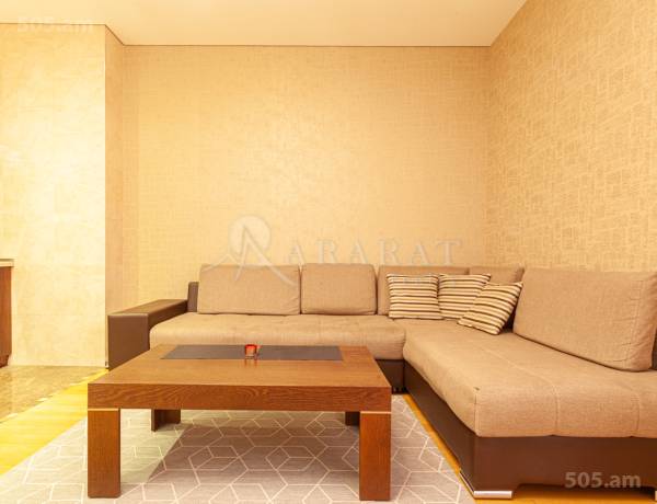 2-senyakanoc-bnakaran-vardzakalutyun-Yerevan-Center