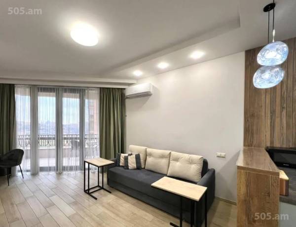 2-senyakanoc-bnakaran-vardzakalutyun-Yerevan-Davtashen