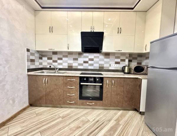 2-senyakanoc-bnakaran-vardzakalutyun-Yerevan-Center