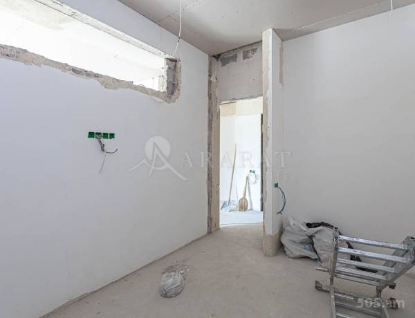 3-senyakanoc-bnakaran-vacharq-Yerevan-Avan