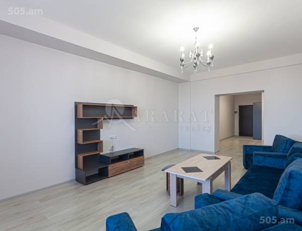 3-senyakanoc-bnakaran-vardzakalutyun-Yerevan-Arabkir