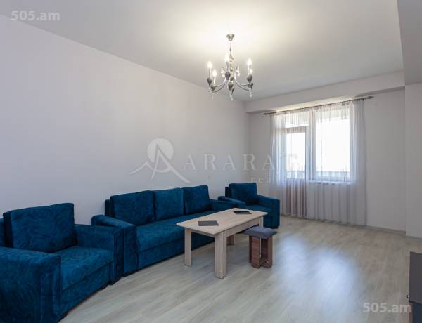 3-senyakanoc-bnakaran-vardzakalutyun-Yerevan-Arabkir