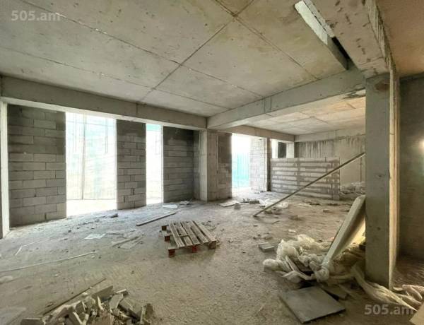2-senyakanoc-bnakaran-vacharq-Yerevan-Center