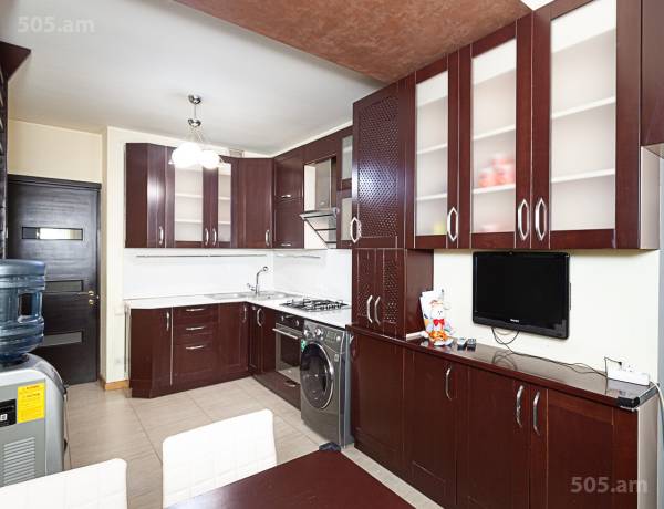 3-senyakanoc-bnakaran-vardzakalutyun-Yerevan-Center