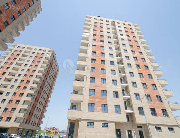 2-senyakanoc-bnakaran-vardzakalutyun-Yerevan-Arabkir