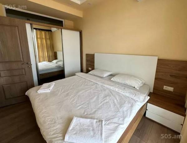 3-senyakanoc-bnakaran-vardzakalutyun-Yerevan-Center