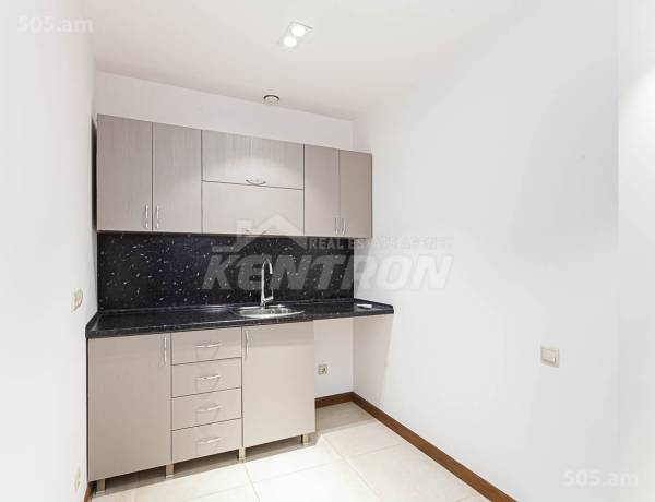 2-senyakanoc-bnakaran-vacharq-Yerevan-Center