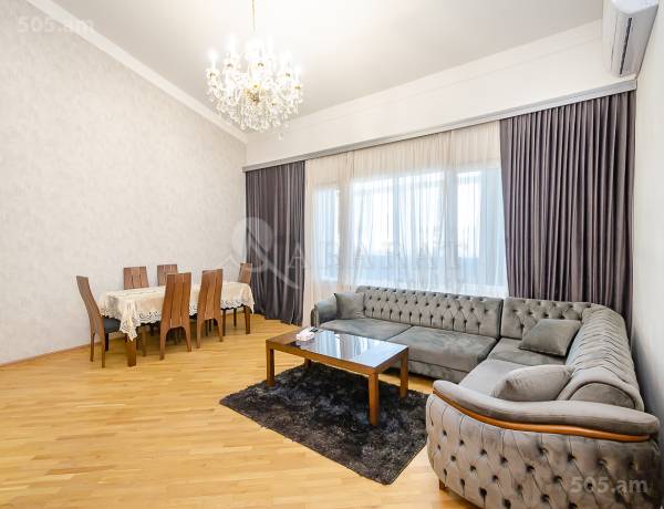 3-senyakanoc-bnakaran-vardzakalutyun-Yerevan-Center
