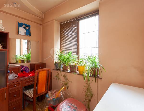 3-senyakanoc-bnakaran-vacharq-Yerevan-Center