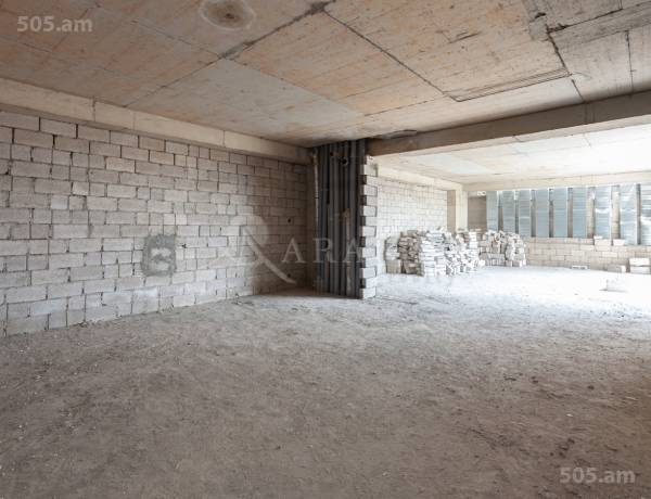 1-senyakanoc-bnakaran-vacharq-Yerevan-Center