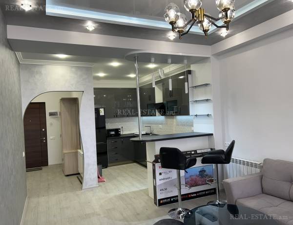 2-senyakanoc-bnakaran-vardzakalutyun-Yerevan-Qanaqer-Zeytun